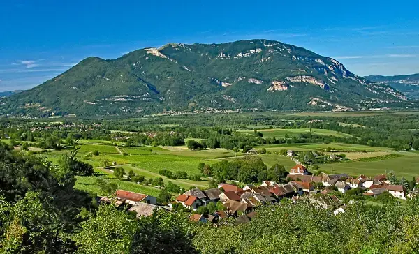 Monte Escalier 01 Monte escalier Vongnes